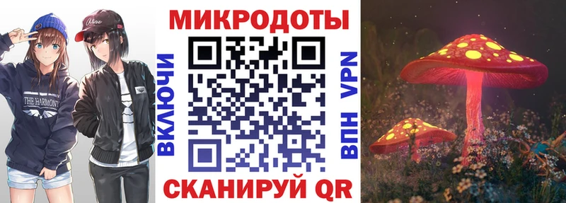 Псилоцибиновые грибы Psilocybe  Вышний Волочёк 